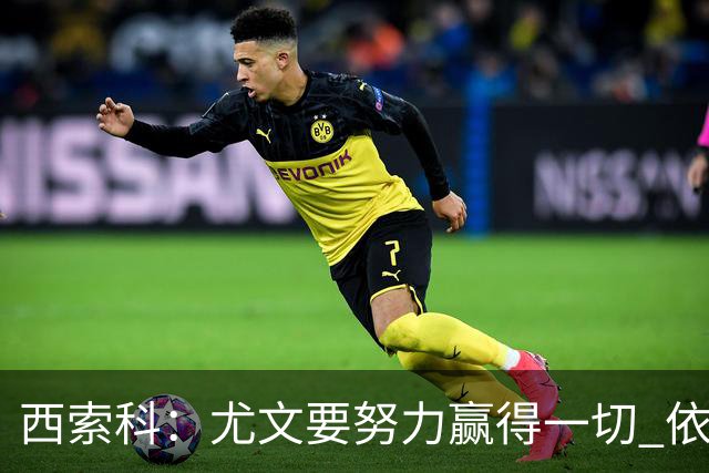 西索科：尤文要努力赢得一切 依然信任斯帕莱蒂和穆阿尼